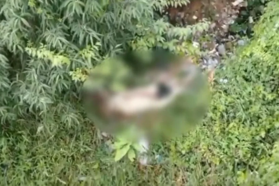 Drone da PM encontra corpo desovado em área de mata