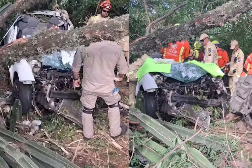 Carro ficou preso entre árvores após cair em ribanceira na PR-170, em Apucarana, no norte do Paraná. Foto: Reprodução.