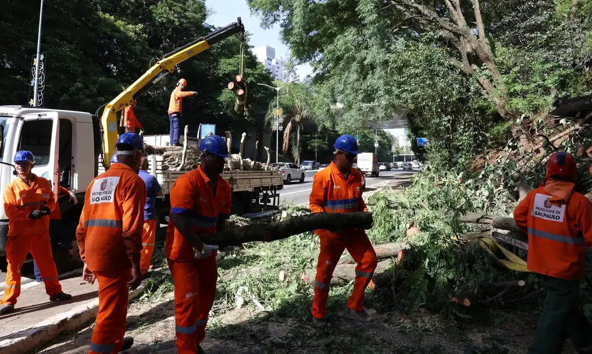 Após temporal, mais de 14 mil imóveis amanhecem sem energia na Grande São Paulo - Foto: Rovena Rosa/Agência Brasil