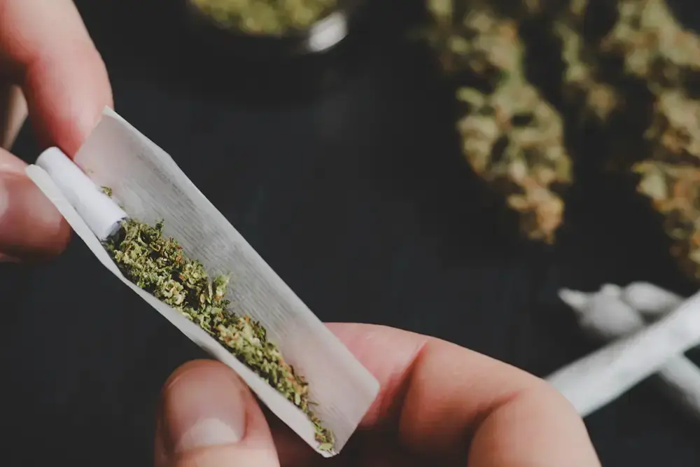 Existe um limite para consumo seguro de maconha? Novo estudo responde - Foto: reprodução/Freepik