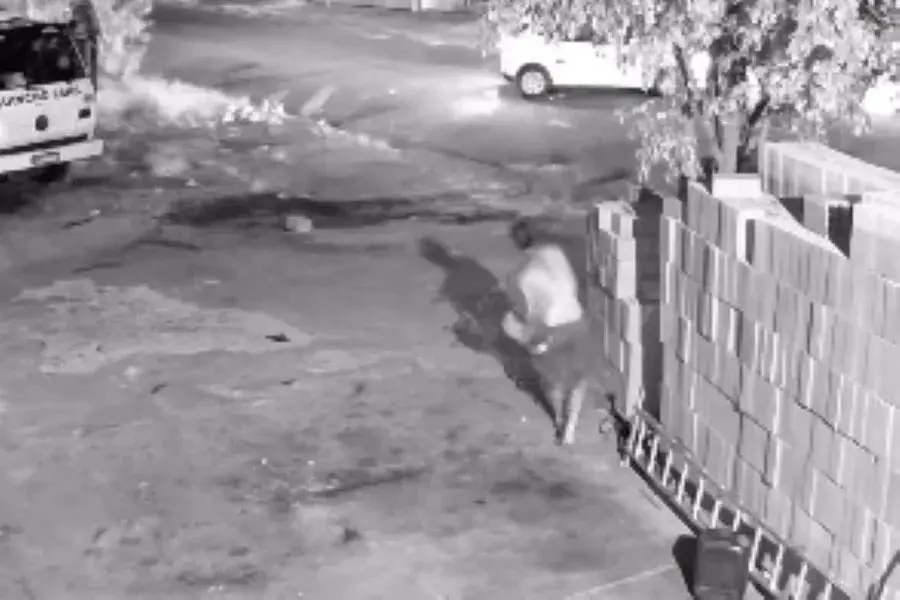 Homem morreu baleado em Guarulhos (Foto: Reprodução)