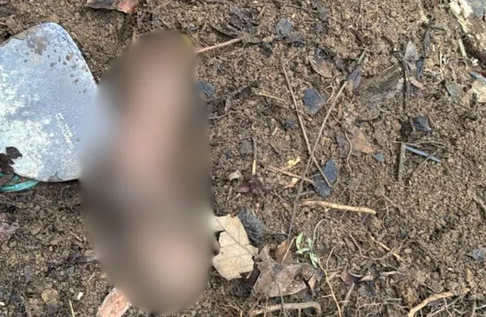 Corpo estava enterrado em cova clandestina (Foto: Polícia Militar SC)