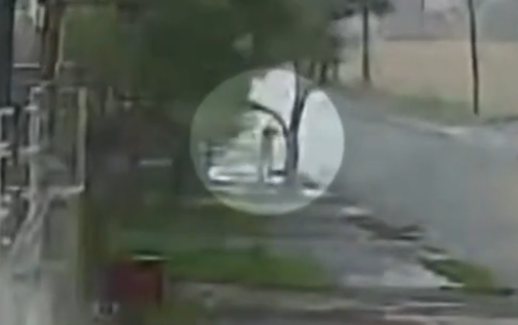 Jovem se agarrou a árvore (Foto: Reprodução)