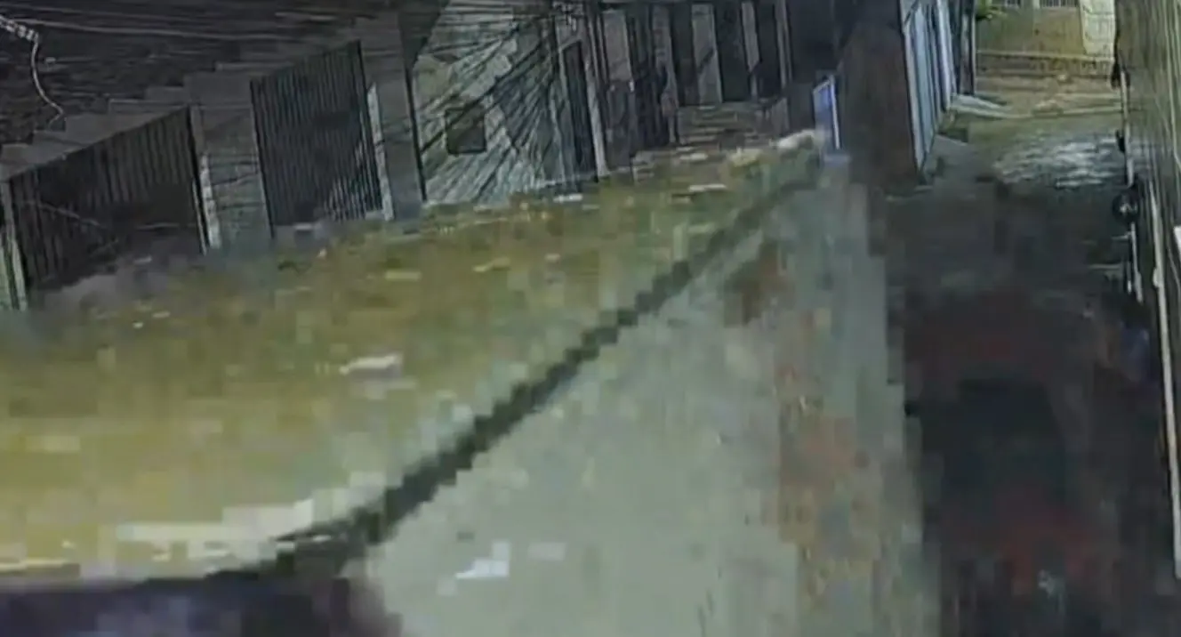 Caminhão atropelou criança de 4 anos (Foto: Reprodução)