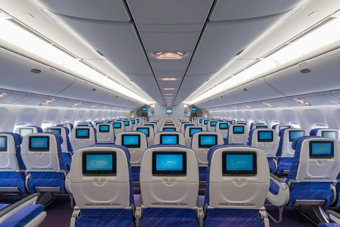 Mulher nega troca de assento em avião e 'ganha' presente inusitado (Foto: Redes Sociais)