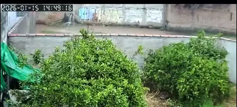 Câmeras de segurança registraram o momento em que menino é levado por enxurrada após forte chuva em Pouso Alegre (MG). Foto: Reprodução.