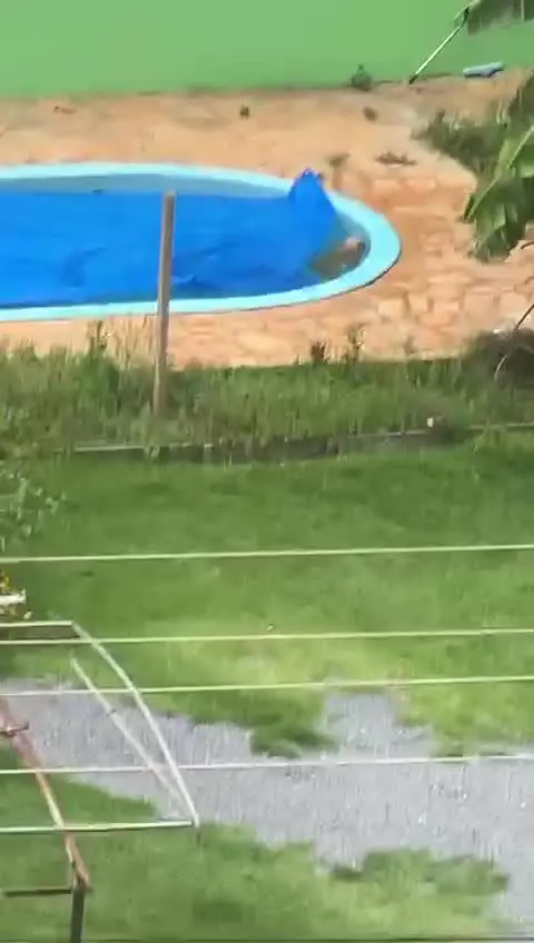 Bombeiros resgatam cachorro que caiu em piscina de uma casa em Sorriso, no norte de Mato Grosso. | Corpo de Bombeiros Militar de MT. Foto: Reprodução.