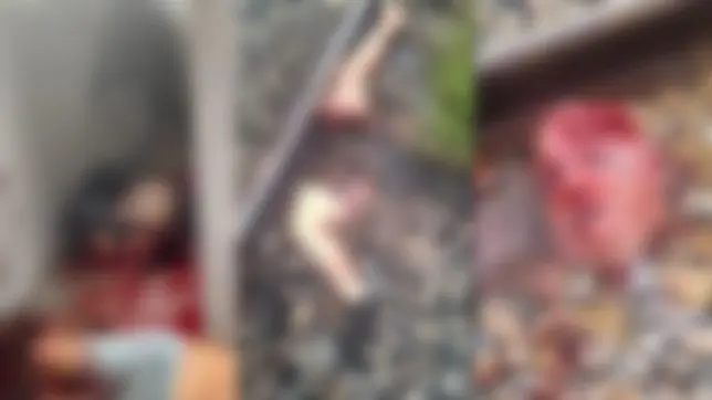 Homem é preso após esquartejar vítima e tentar esconder em linha férrea
