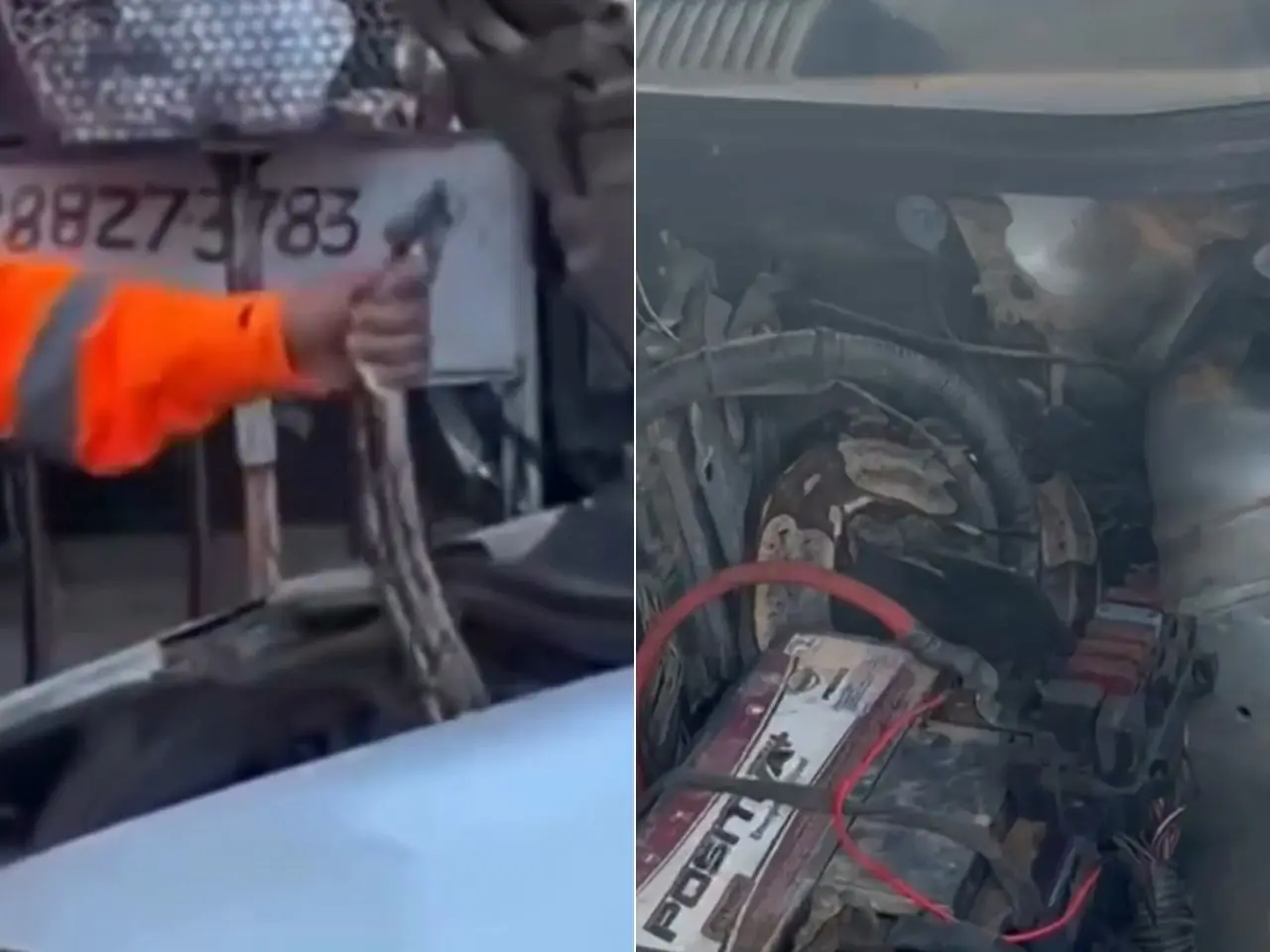 Bombeiros fazem descoberta surpreendente em motor de carro e alertam; vídeo