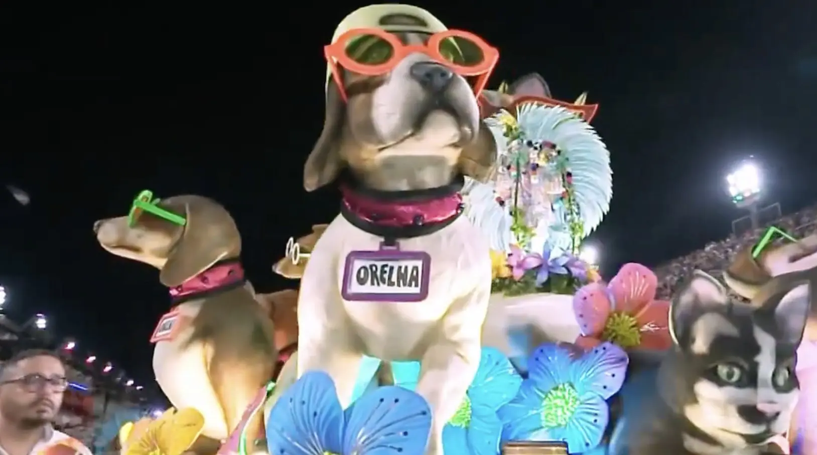 Cão Orelha foi homenageado pela Mocidade Independente de Padre Miguel