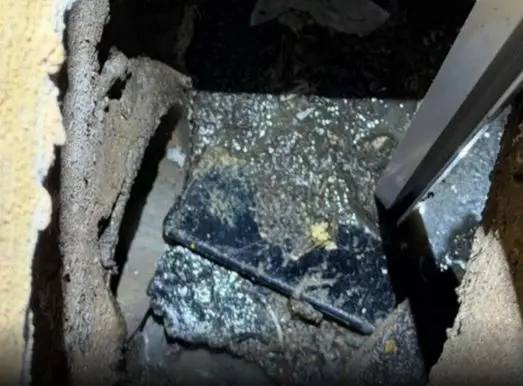 Celular de corretora morta por síndico é encontrado em caixa de esgoto (Foto: Redes Sociais)