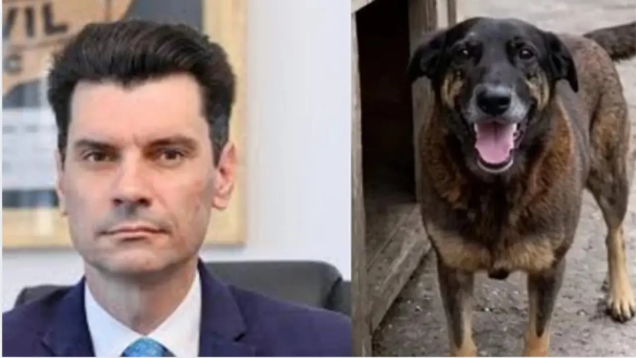 Delegado-geral responsável pelo caso    morte do cão Orelha (Reprodução/Redes Sociais)