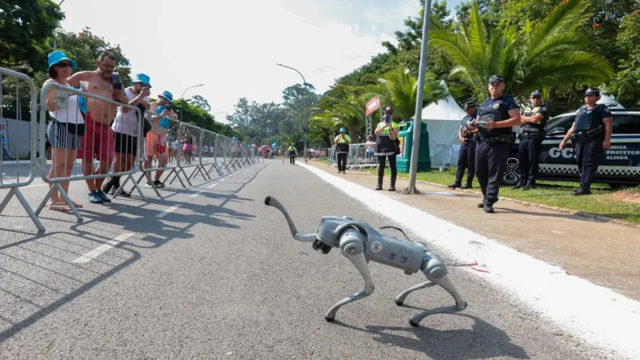 Smart-dog (Foto: Divulgação/Prefeitura de São Paulo)