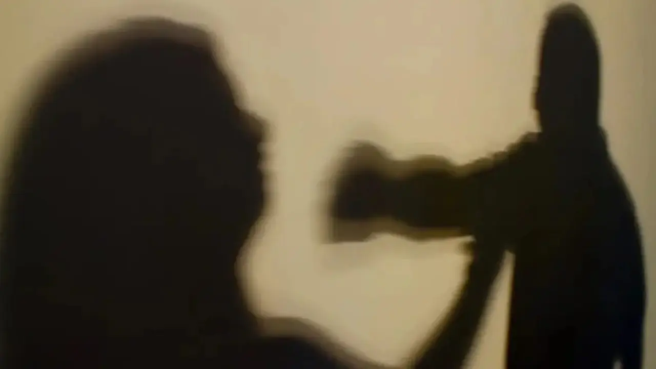 Agressão contra mãe (Reprodução/Agência Brasil)