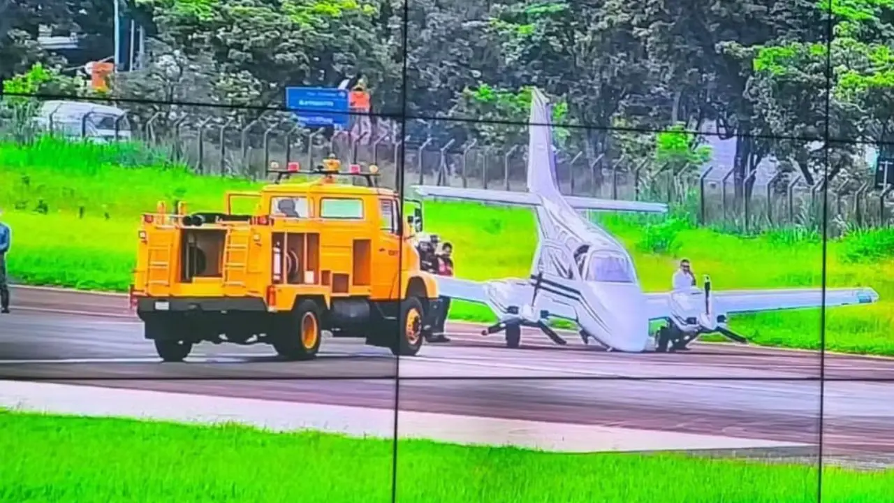 Pouso de emergência após colisão com pássaro (Foto: Reprodução) 