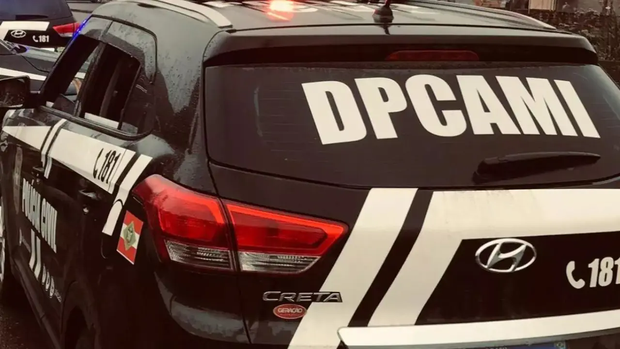Mãe agride criança de 3 anos e confessa (Foto: Polícia Civil/Divulgação)