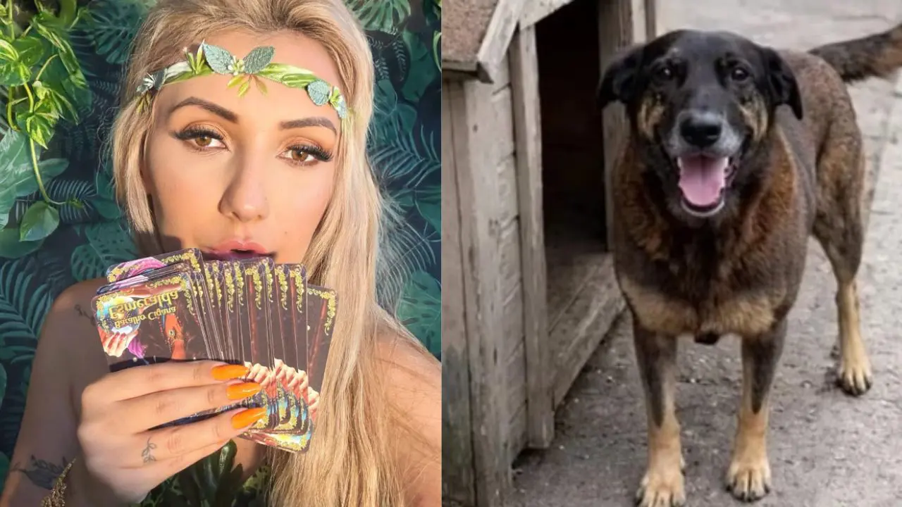 Vidente Chaline Grazik e cão Orelha (Reprodução/Redes sociais)