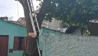 Homem morre após sofrer descarga elétrica e cair de seis metros durante poda de árvore no DF. Foto: Corpo de Bombeiros DF.
