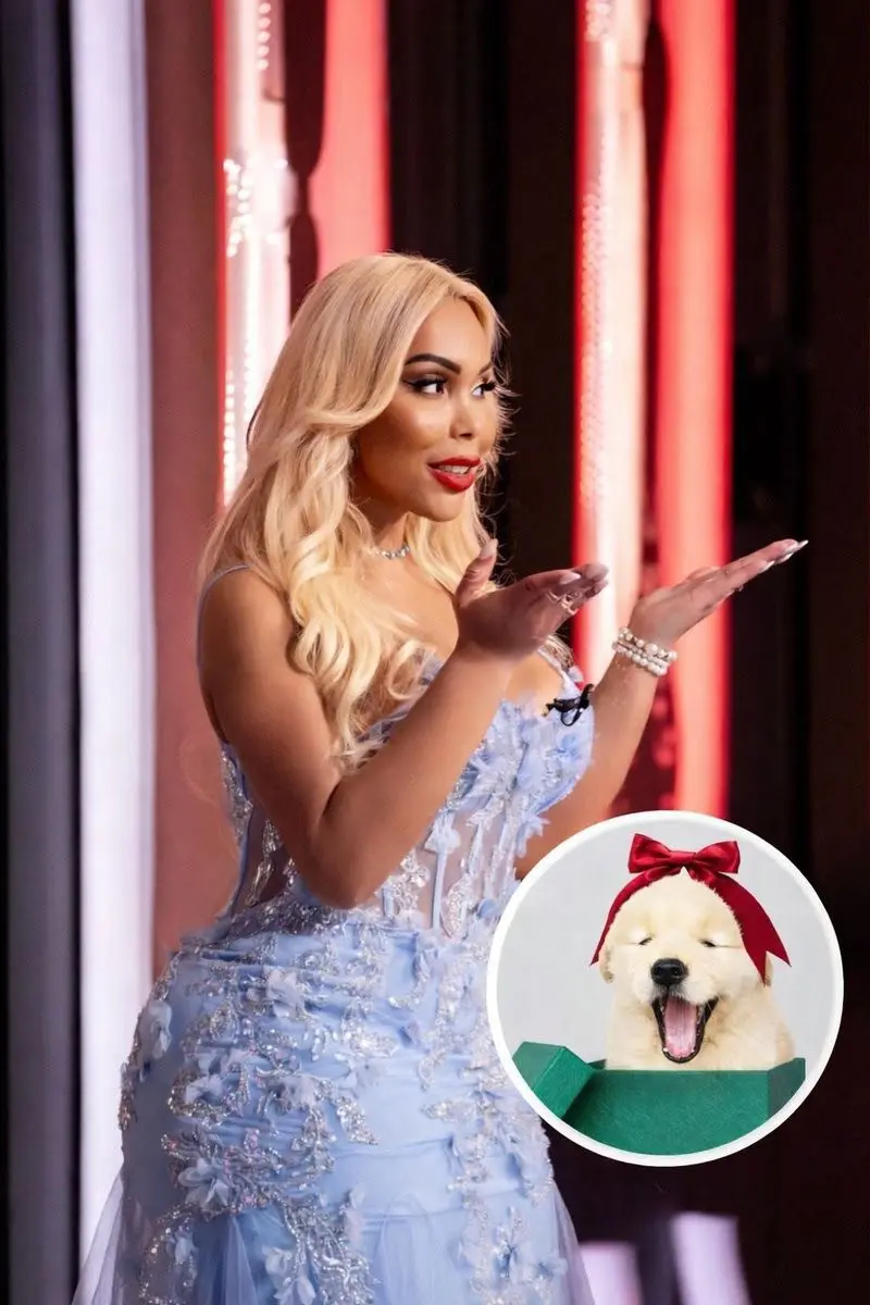 Influenciadora devolve cachorro que ganhou de presente e causa mal-estar com amigo (Foto: Reprodução)