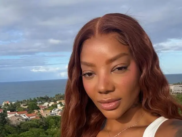 Ludmilla dá bronca de cima de trio em pessoas que levaram crianças ao Megabloco (Foto: Redes Sociais)