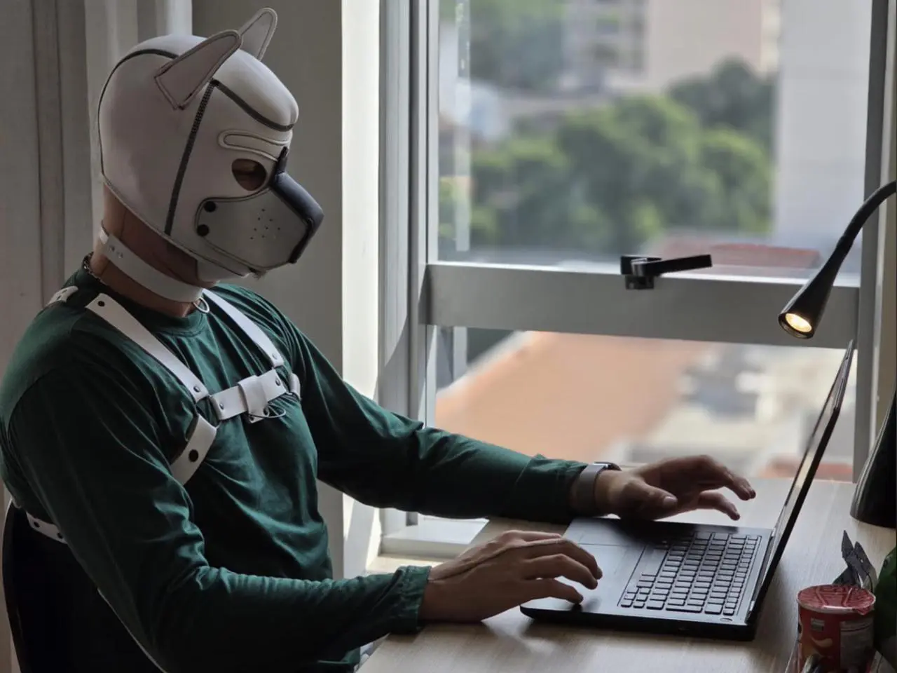 'PuppyPlay', 'Therian' e 'Furry', conheça os grupos de pessoas que se identificam como animais || Reprodução: Imagem cedida ao BacciNotícias 