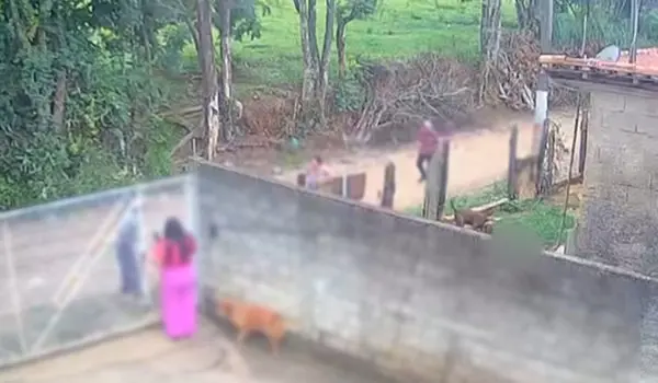 Bebê de 11 meses morre após ser atacado por pitbull; vídeo