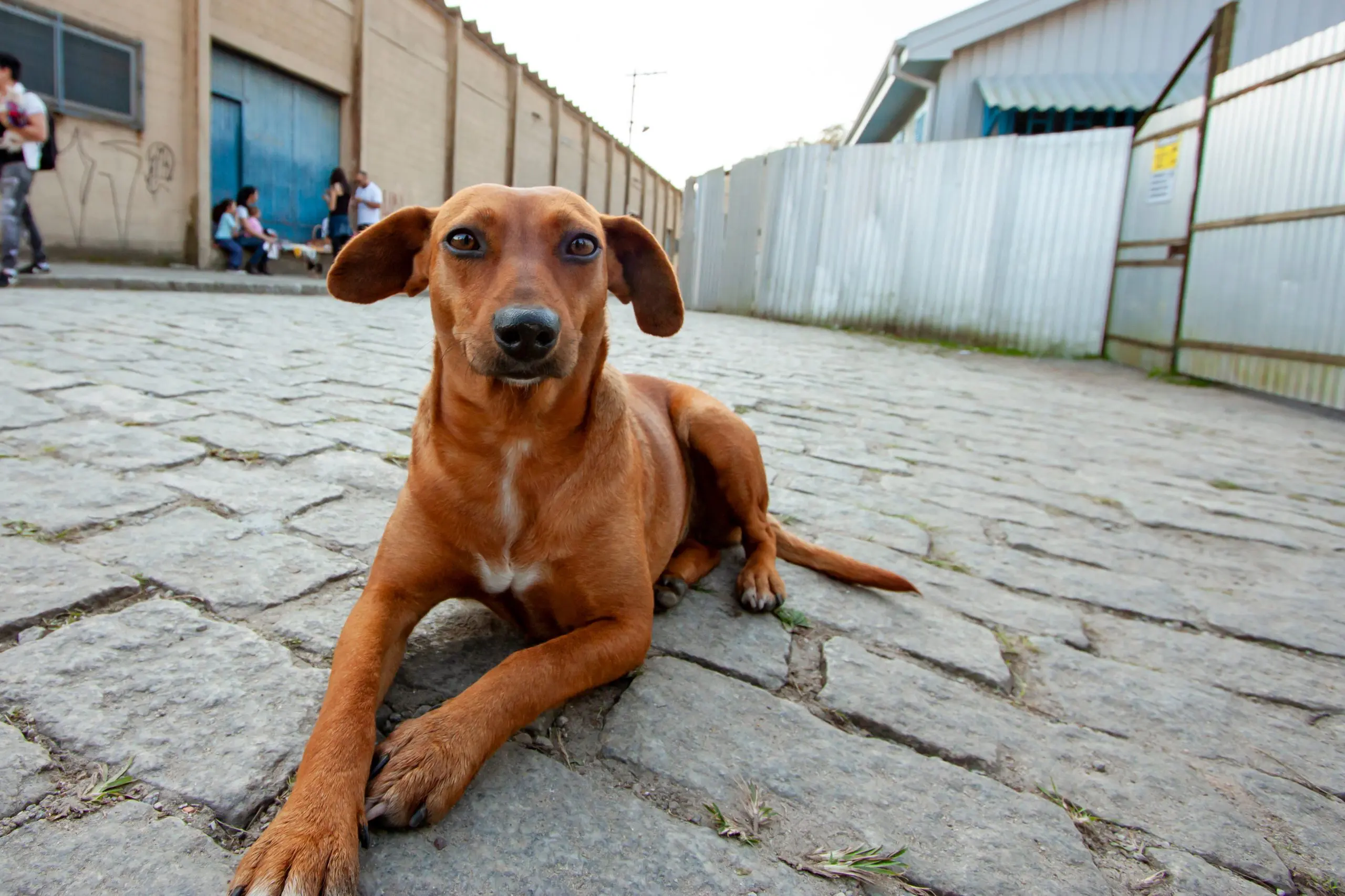 Ranking mostra distritos de SP com melhor avaliação (Foto: Agência SP)
