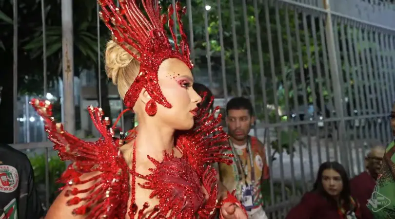 Amigo fica assustado com assedio a Virginia na Sapucaí