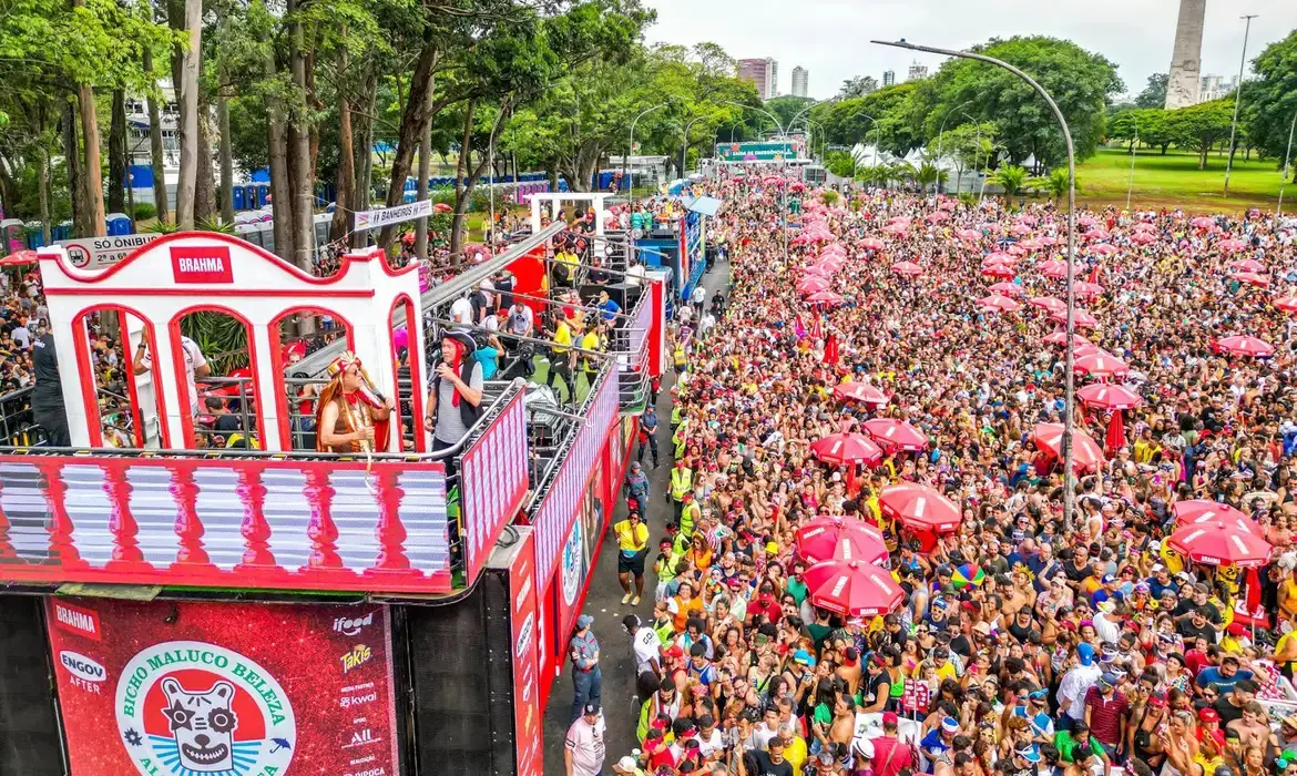 Blocos de SP desfilam sem banheiros químicos