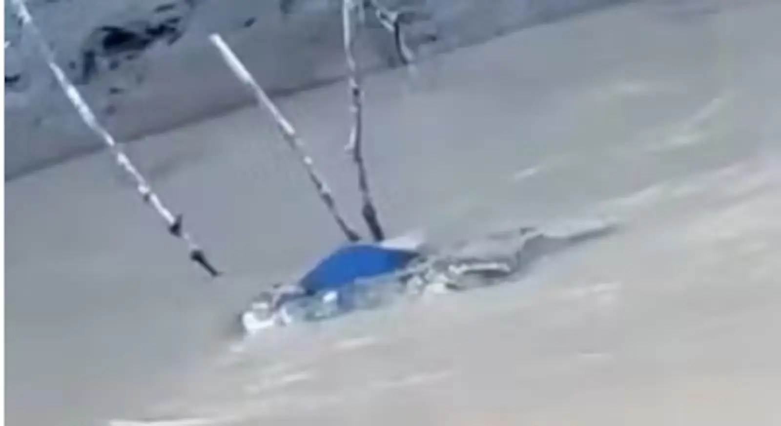 Crocodilos de grande porte têm atacado moradores às margens de rios na Indonésia; especialistas alertam para risco crescente em comunidades ribeirinhas. Foto: Divulgação / X.