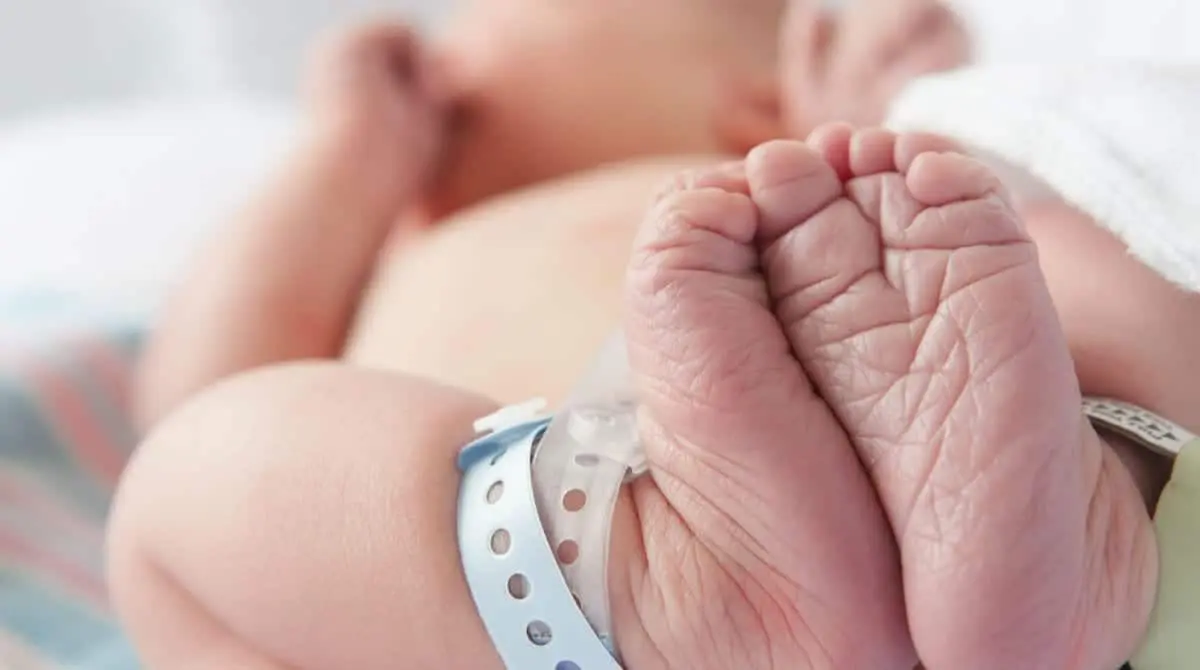 Estudo mostra que filhos mais calmos costumam nascer nestes 3 meses do ano