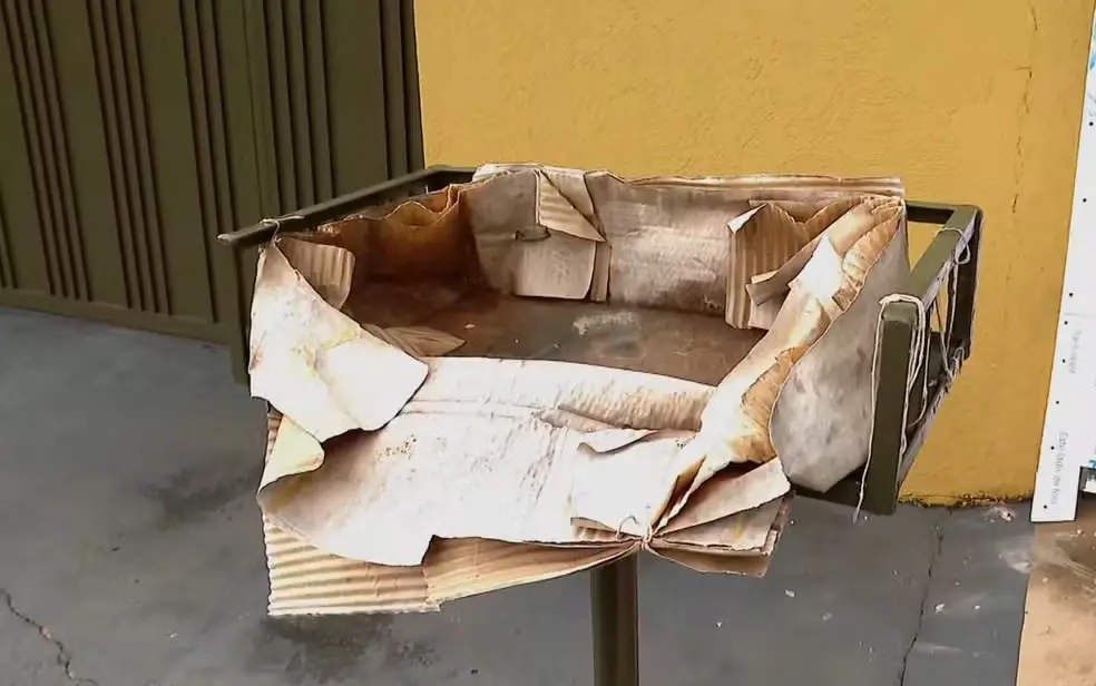 Bebê foi encontrada na lixeira envolta em um saco plástico que continha água em Guariba (SP) (Foto: Reprodução EPTV)