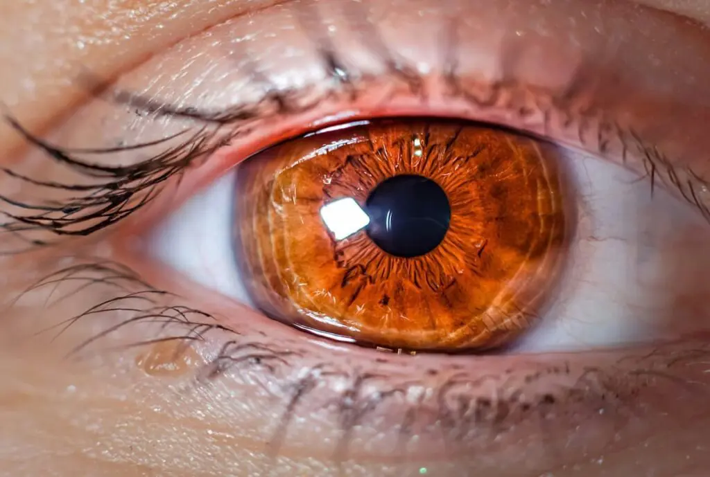 Córneas desenvolvidas por cientistas em impressora 3D podem zerar fila de transplante