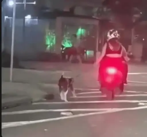 Casal foi filmado puxando cachorro pela coleira enquanto trafegava de moto em rua de Santos, no litoral paulista. Foto: Reprodução.