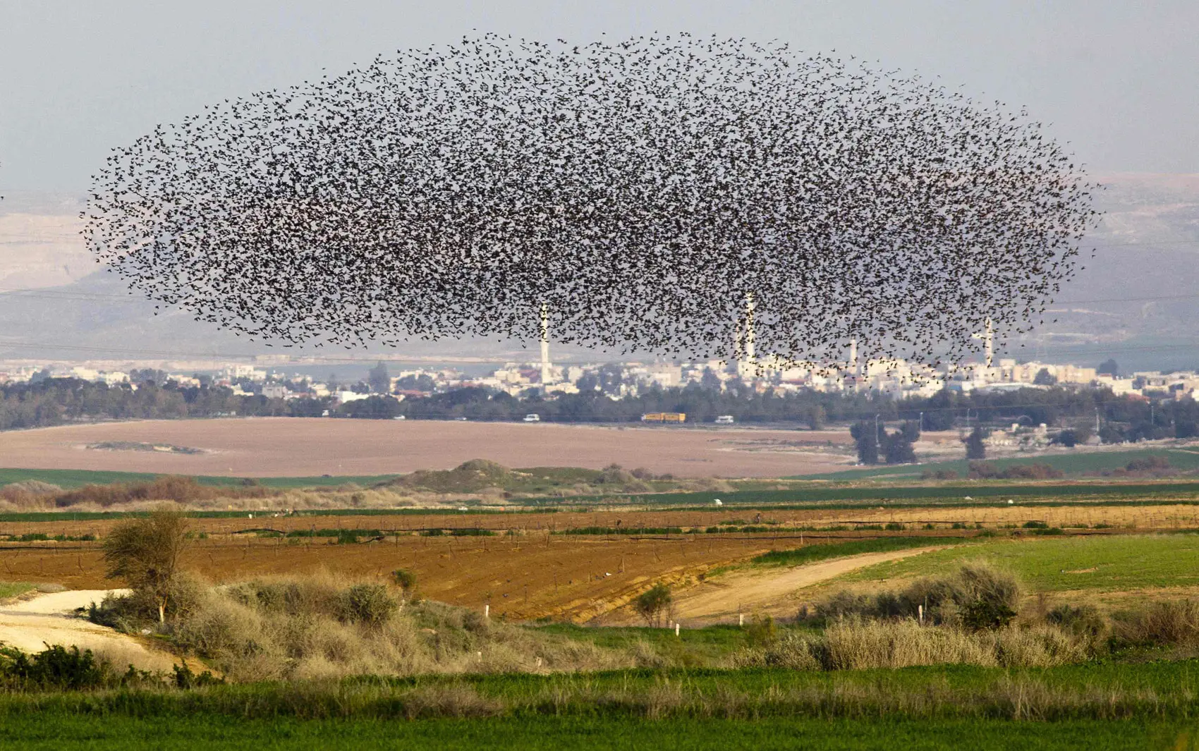 Imagens semelhantes já haviam sido registradas em Israel e voltaram a viralizar. Foto: Divulgação.