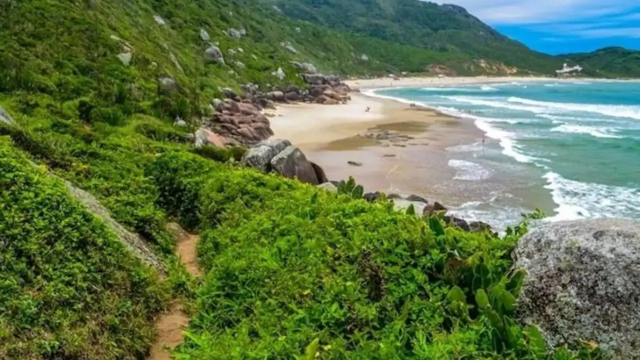 Praia da Galheta, em Florianópolis
Foto: PMF)