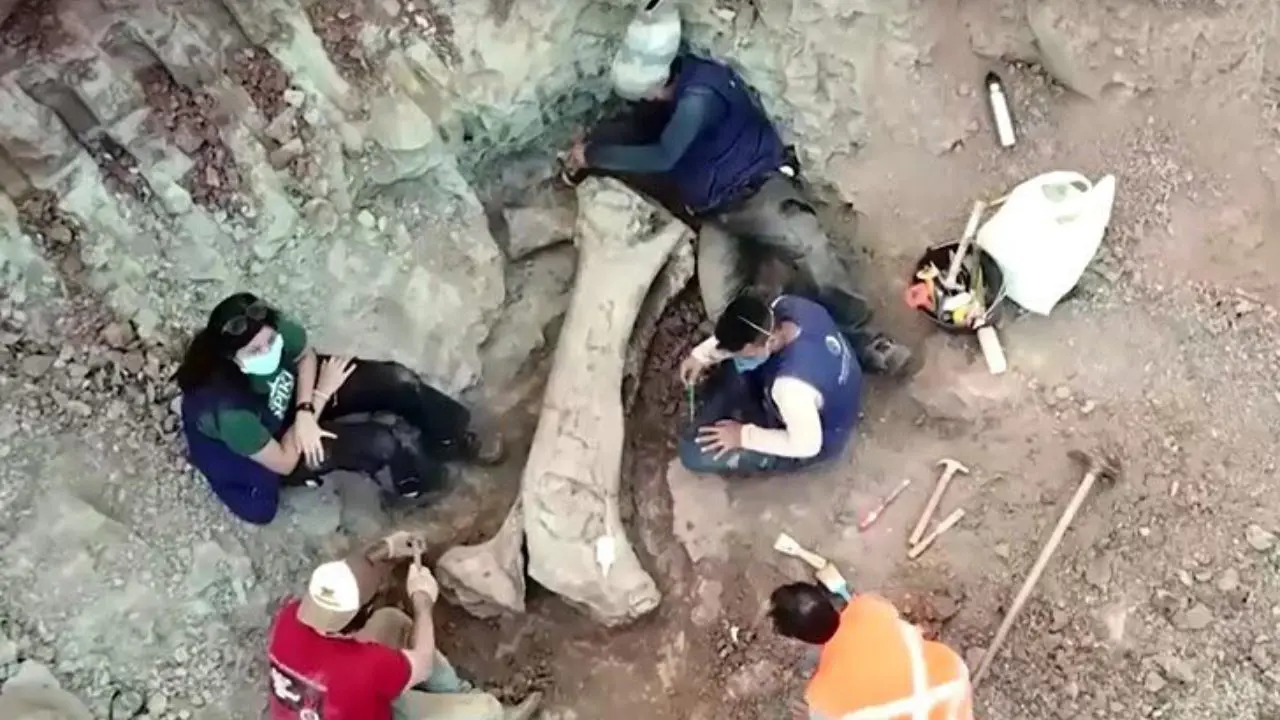 Cientistas brasileiros descobrem nova espécie de dinossauros (Reprodução/Redes Socais)
