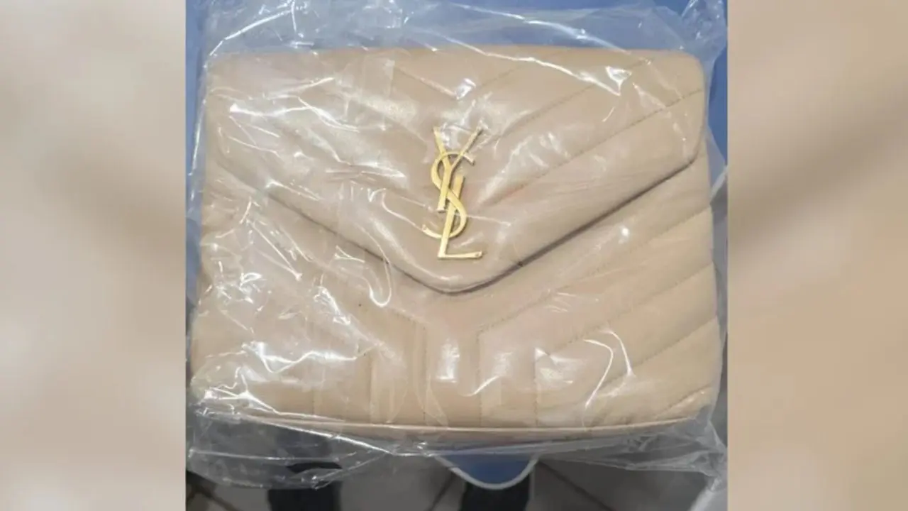 Bolsa (Foto: Divulgação/PCMT)