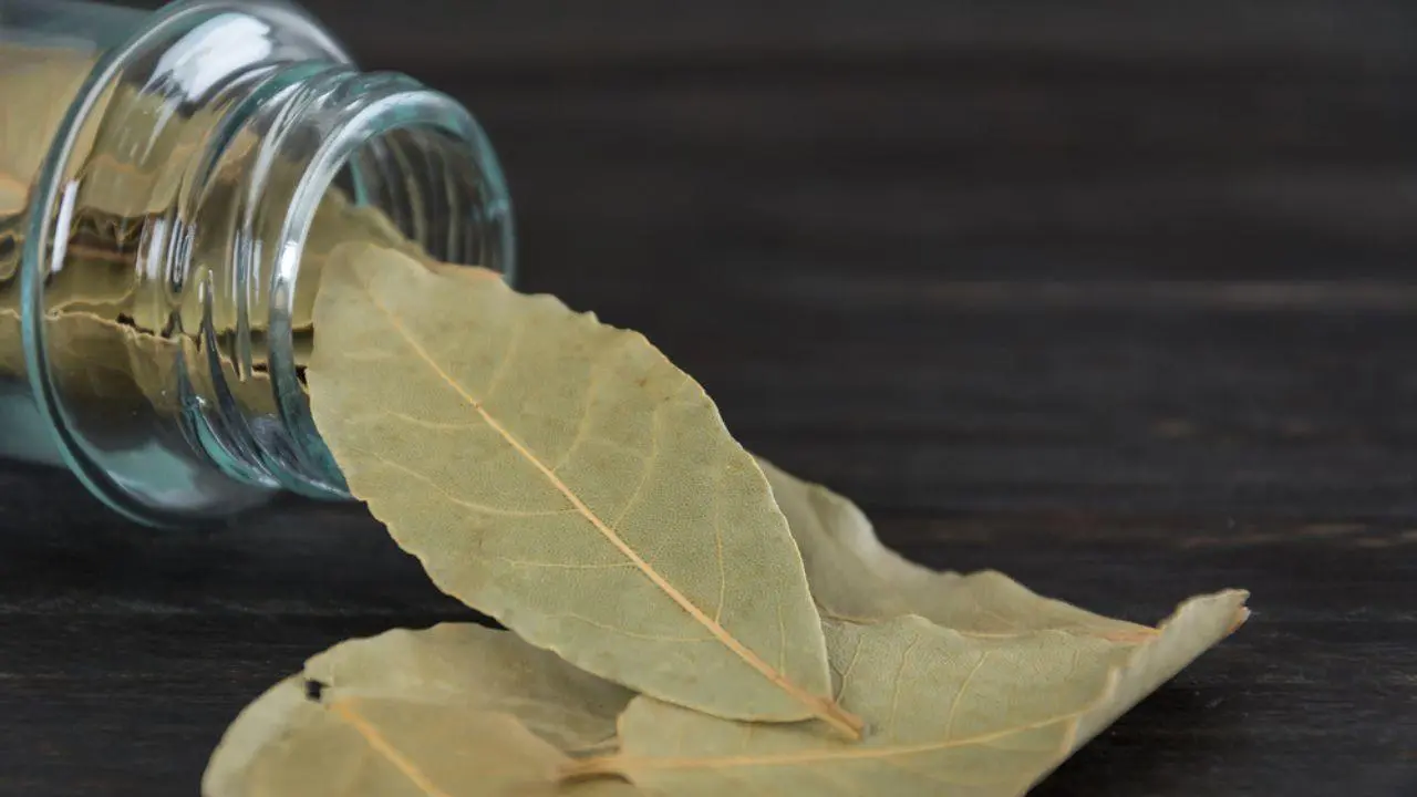 Como atrair dinheiro? Ritual com louro e canela promete riqueza (Foto: Shutterstock)