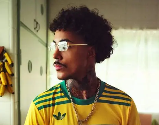 MC Livinho faz desabafo emocionante sobre pausa na carreira (Foto: Redes Sociais)