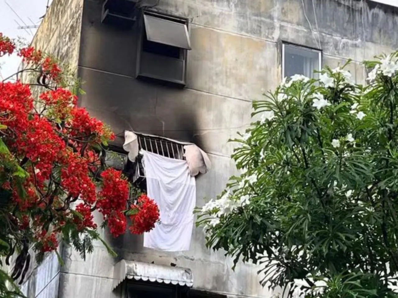 Incêndio em Recife || Reprodução: TV Gloob