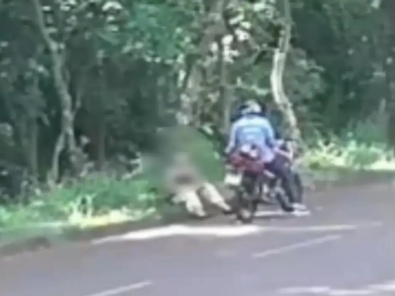 Mulher é assaltada em Ribeirão Preto || Reprodução: Redes Sociais 