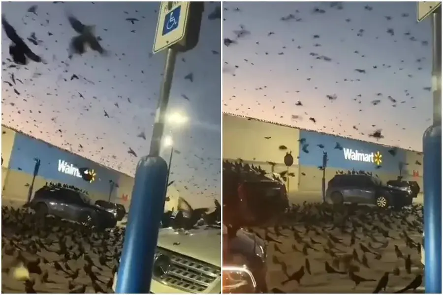 'Presságio da desgraça' no céu de Israel já aconteceu em outros lugares do mundo; saiba onde. Foto: tiktok