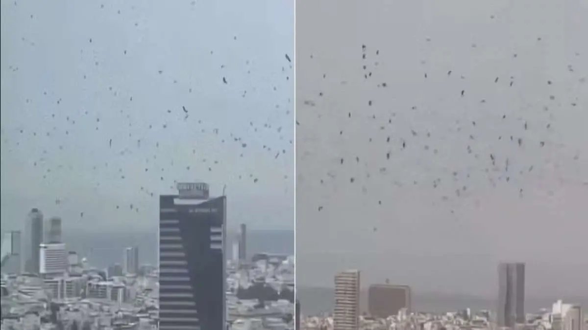 Entenda profecia envolvendo o aparecimento de milhares de corvos no céu de Tel Aviv