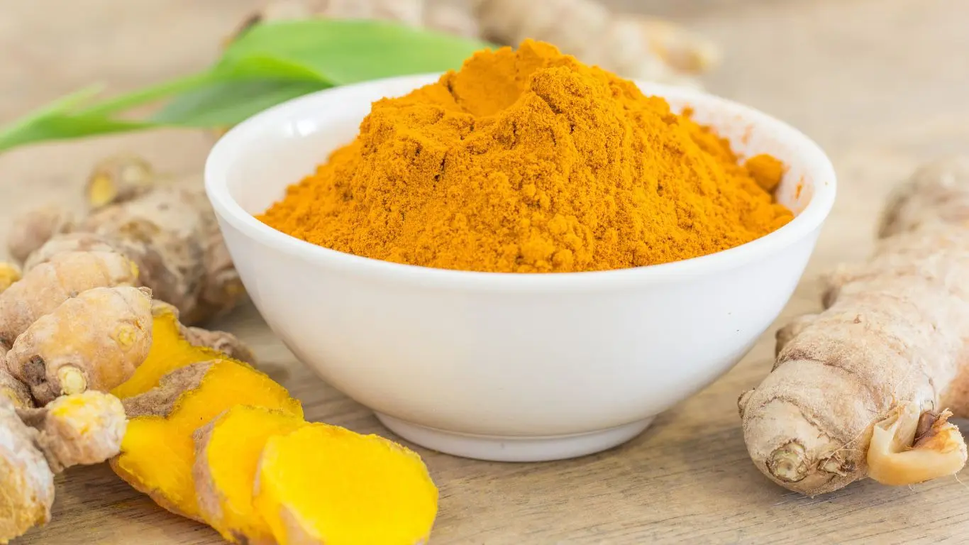 Anvisa alerta que uso de suplementos com cúrcuma pode trazer risco à saúde