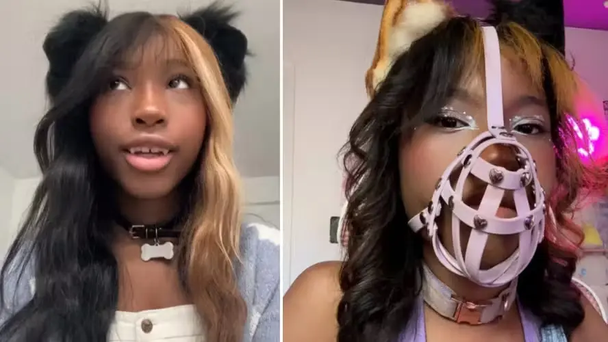 Jovem diz se identificar como lulu da Pomerânia e viraliza nas redes: 'vida de cadela' (Foto: Reprodução/Redes sociais)