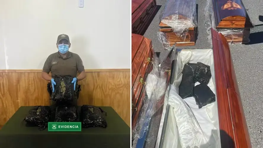 Polícia chilena encontra mais de 4 quilos de maconha escondidos dentro de caixão durante fiscalização no sul do país. Foto: Divulgação.