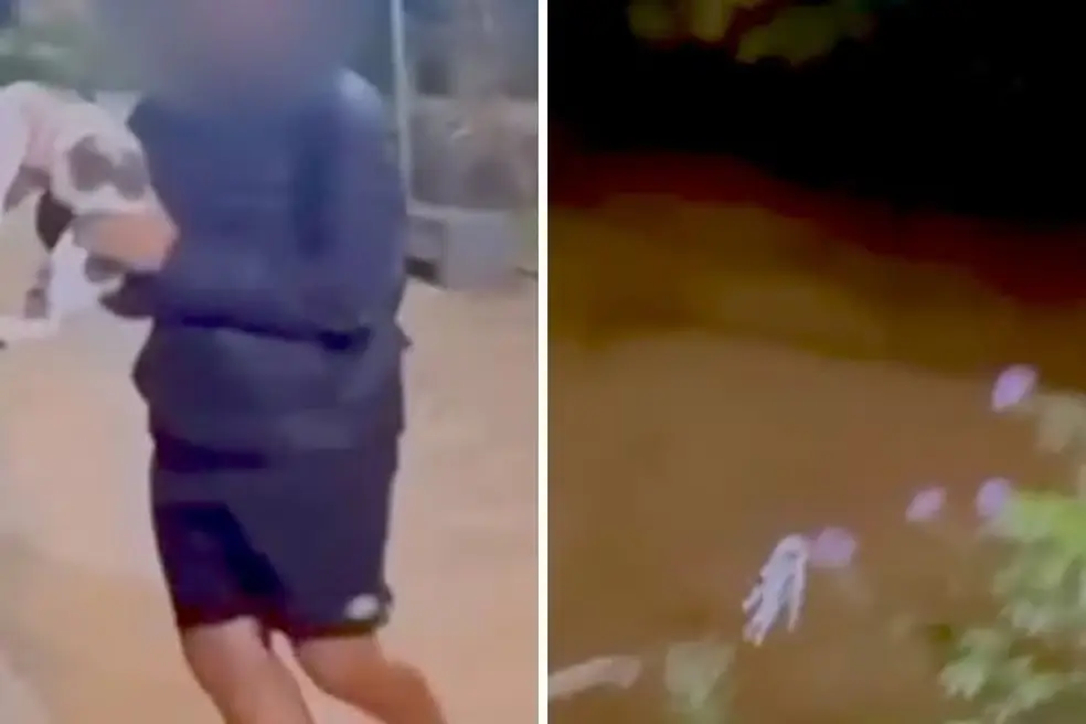 Adolescente é filmando arremessando gato em rio no interior de SP — Foto: Reprodução