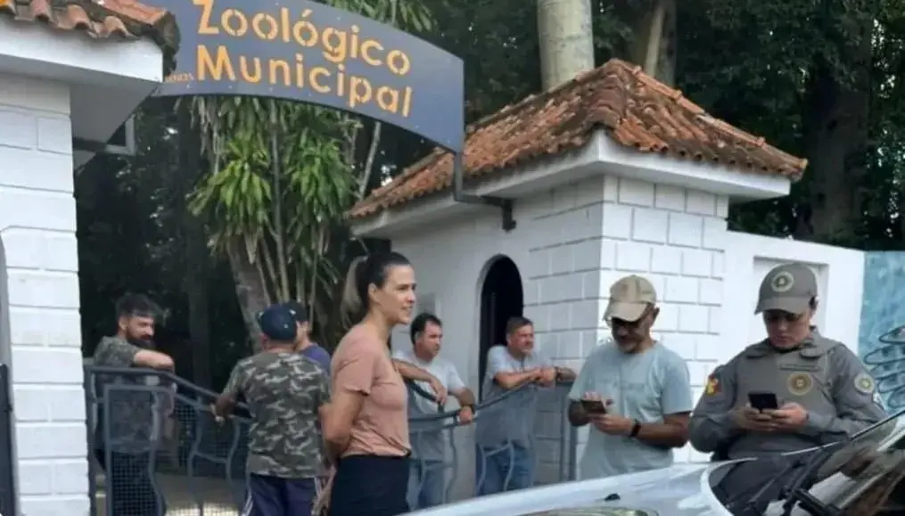 Veado-campeiro foi encontrado morto após invasão no zoológico de Cachoeira do Sul. Foto: Divulgação / Redes sociais.