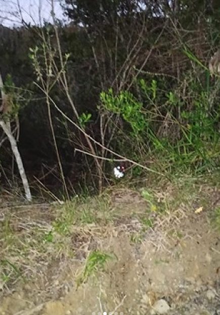 Local onde os corpos das amigas foram encontrados (Foto: Polícia Civil Bahia)